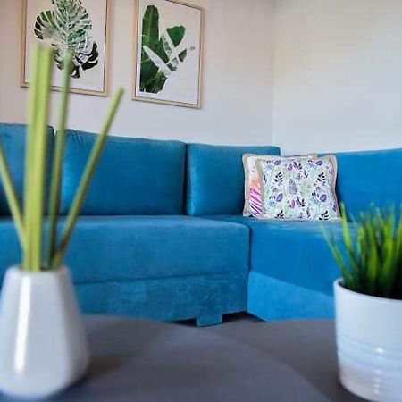 Aelia Boutique Apartments & RoomsVrasná エクステリア 写真